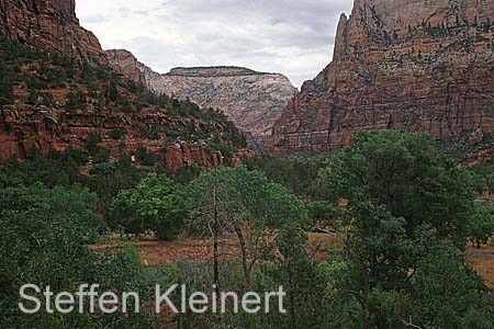 zion np 008